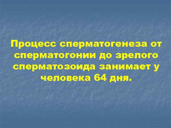 Процесс сперматогенеза от сперматогонии до зрелого сперматозоида занимает у человека 64 дня. 