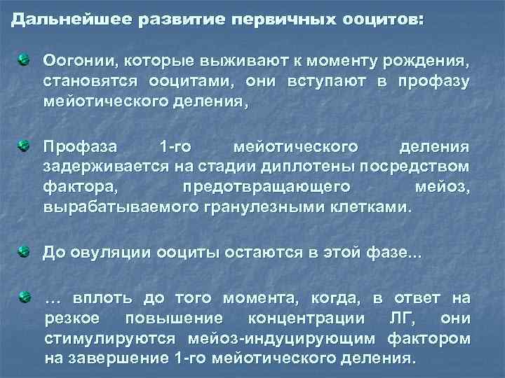 Дальнейшее развитие первичных ооцитов: Оогонии, которые выживают к моменту рождения, становятся ооцитами, они вступают