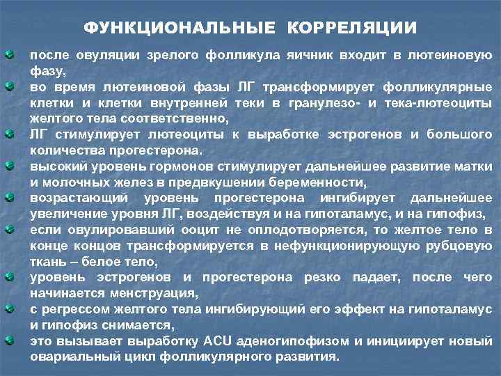 ФУНКЦИОНАЛЬНЫЕ КОРРЕЛЯЦИИ после овуляции зрелого фолликула яичник входит в лютеиновую фазу, во время лютеиновой
