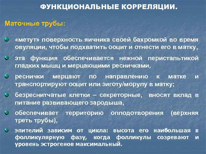 ФУНКЦИОНАЛЬНЫЕ КОРРЕЛЯЦИИ. Маточные трубы: «метут» поверхность яичника своей бахромкой во время овуляции, чтобы подхватить