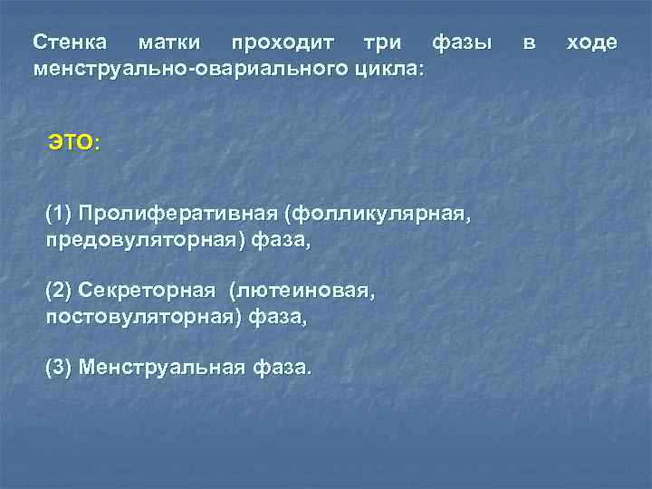 Стенка матки проходит три фазы менструально-овариального цикла: ЭТО: (1) Пролиферативная (фолликулярная, предовуляторная) фаза, (2)