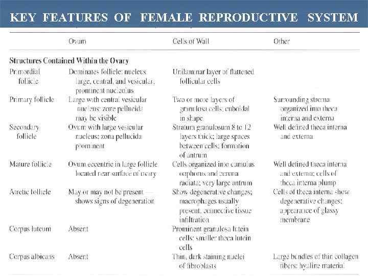  KEY FEATURES OF FEMALE REPRODUCTIVE SYSTEM 