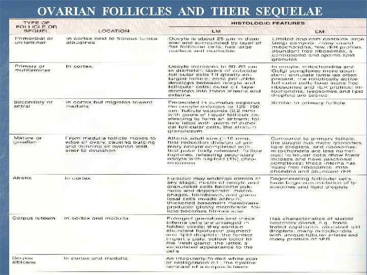 OVARIAN FOLLICLES AND THEIR SEQUELAE 