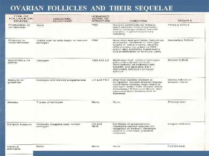OVARIAN FOLLICLES AND THEIR SEQUELAE 