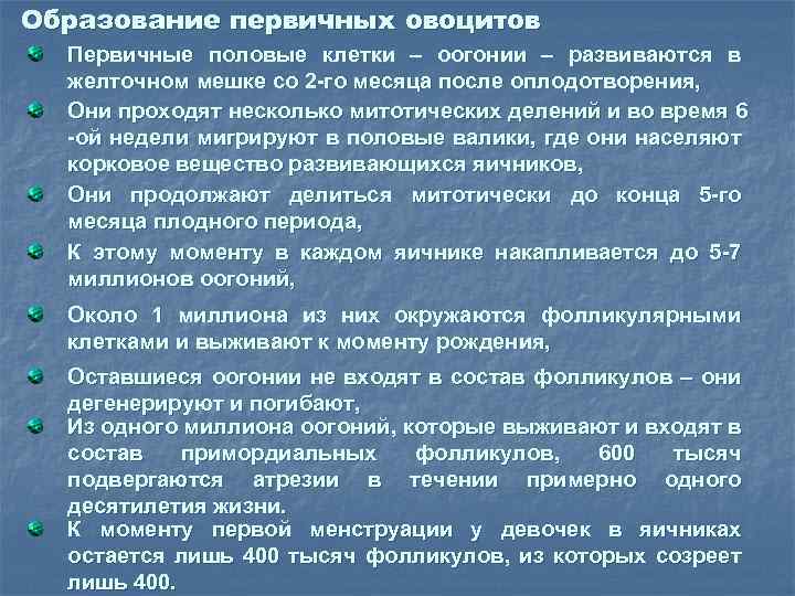 Образование первичных овоцитов Первичные половые клетки – оогонии – развиваются в желточном мешке со