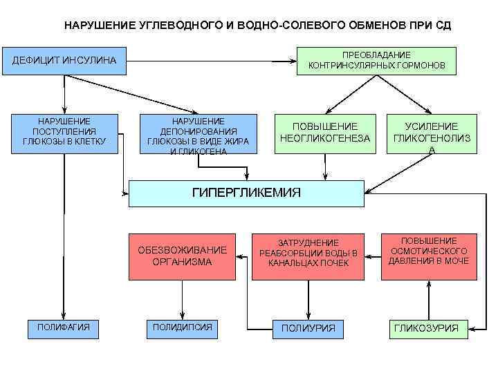 Презентация на тему нарушение водного обмена