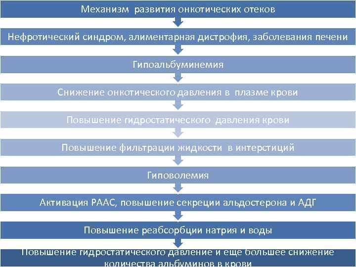 Механизм развития онкотических отеков Нефротический синдром, алиментарная дистрофия, заболевания печени Гипоальбуминемия Снижение онкотического давления