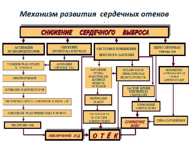 Развитие отека