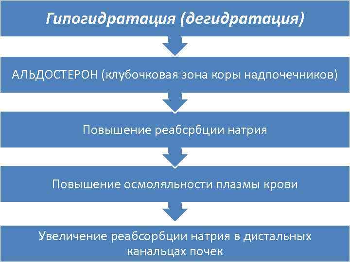 Гипогидратация (дегидратация) АЛЬДОСТЕРОН (клубочковая зона коры надпочечников) Повышение реабсрбции натрия Повышение осмоляльности плазмы крови