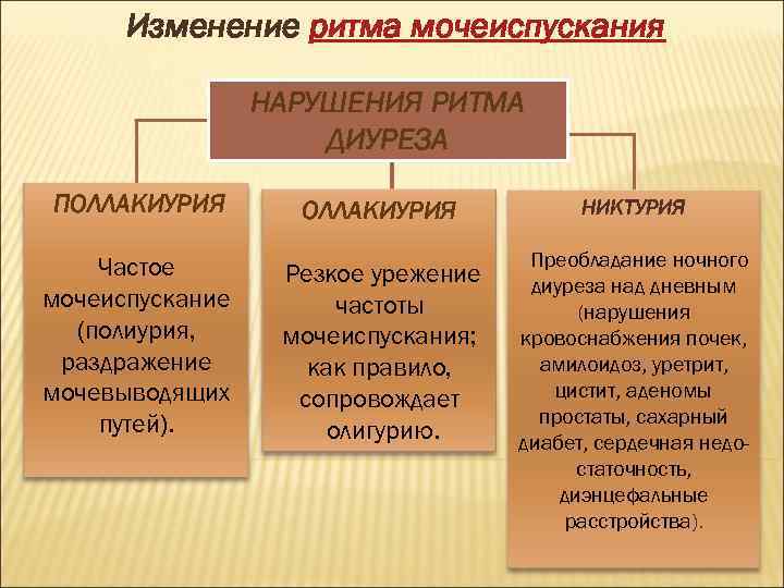 Изменение ритма. Изменение ритма мочеиспускания. Характеристика изменения ритма мочеиспускания. Изменение частоты мочеиспускания. Дайте краткую характеристику изменениям ритма мочеиспускания.