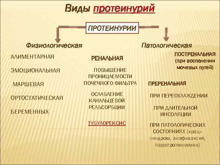 Виды протеинурий ПРОТЕИНУРИИ Физиологическая АЛИМЕНТАРНАЯ ЭМОЦИОНАЛЬНАЯ МАРШЕВАЯ ОРТОСТАТИЧЕСКАЯ БЕРЕМЕННЫХ Патологическая РЕНАЛЬНАЯ ПОВЫШЕНИЕ ПРОНИЦАЕМОСТИ ПОЧЕЧНОГО