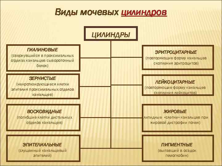 Виды мочевых цилиндров ЦИЛИНДРЫ ГИАЛИНОВЫЕ (свернувшийся в проксимальных отделах канальцев сывороточный белок) ЗЕРНИСТЫЕ (некротизирующиеся
