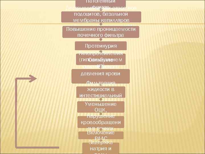 Патогенный фактор Деструкция малых отростков подоцитов, базальной мембраны капилляров клубочков и проницаемости Повышение канальцев