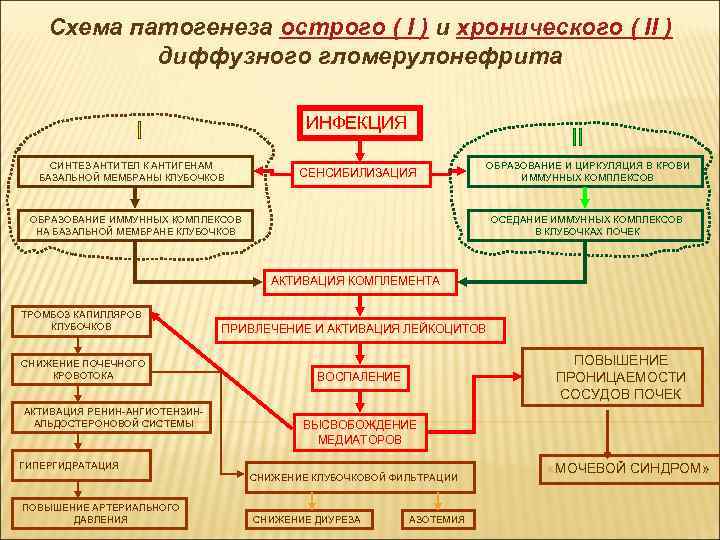 Схема патогенеза чумы - 80 фото