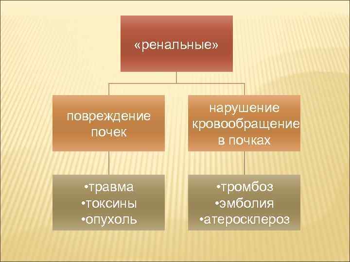  «ренальные» повреждение почек нарушение кровообращение в почках • травма • токсины • опухоль