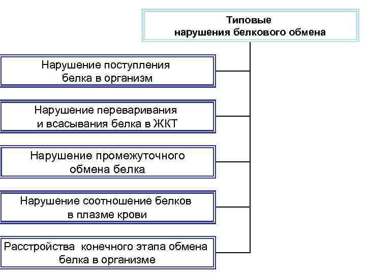 Патофизиология белкового обмена презентация