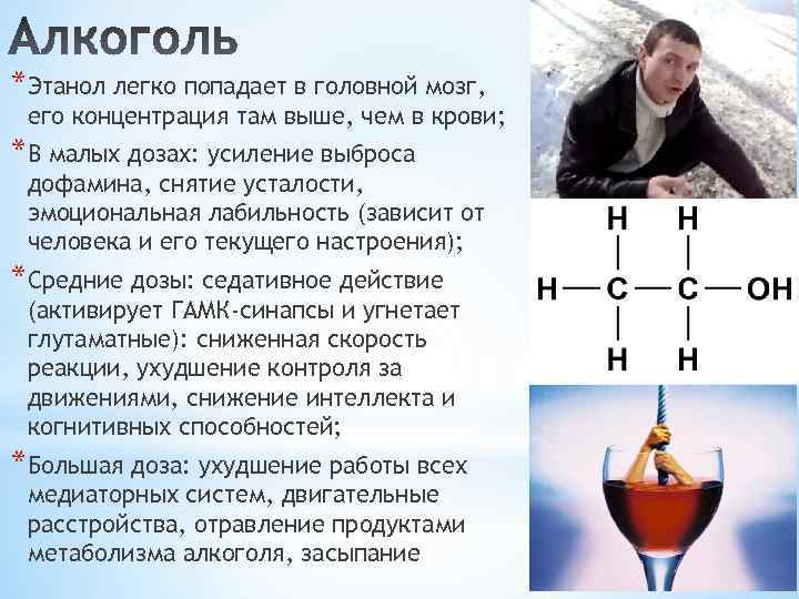 *Этанол легко попадает в головной мозг, его концентрация там выше, чем в крови; *В