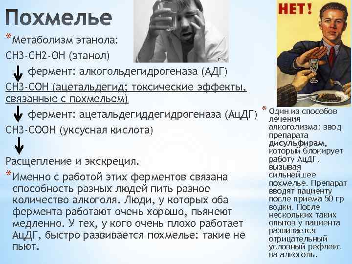 *Метаболизм этанола: СН 3 -СН 2 -ОН (этанол) фермент: алкогольдегидрогеназа (АДГ) СН 3 -СОН