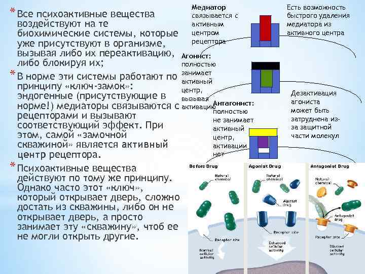 * Все психоактивные вещества Медиатор связывается с активным центром рецептора воздействуют на те биохимические
