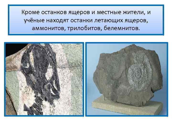 Кроме останков ящеров и местные жители, и учёные находят останки летающих ящеров, аммонитов, трилобитов,