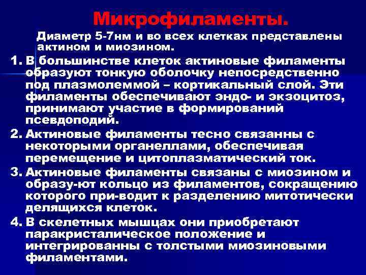 Микрофиламенты. Диаметр 5 -7 нм и во всех клетках представлены актином и миозином. 1.