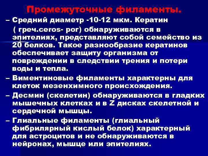 Промежуточные филаменты. – Средний диаметр -10 -12 мкм. Кератин ( греч. ceros- рог) обнаруживаются