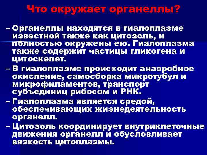 Что окружает органеллы? – Органеллы находятся в гиалоплазме известной также как цитозоль, и полностью