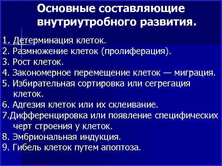 Основные составляющие внутриутробного развития. 1. Детерминация клеток. 2. 3. 4. 5. Размножение клеток (пролиферация).