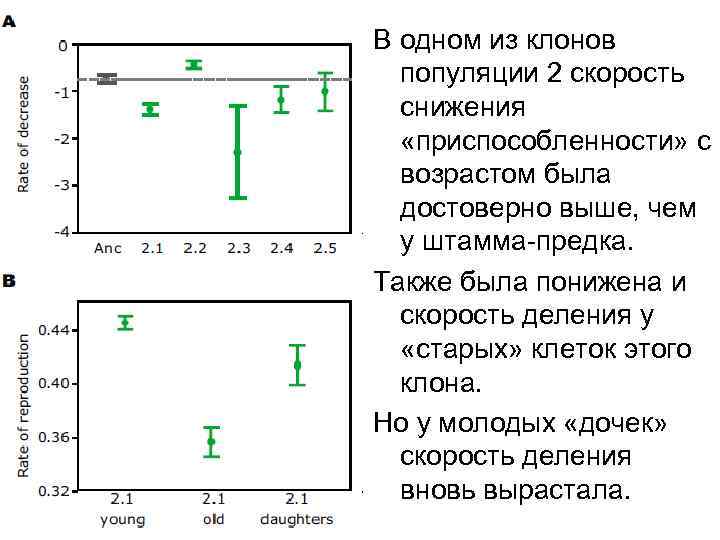 В одном из клонов популяции 2 скорость снижения «приспособленности» с возрастом была достоверно выше,