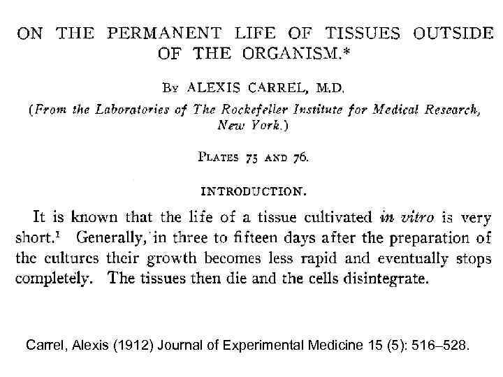 Carrel, Alexis (1912) Journal of Experimental Medicine 15 (5): 516– 528. 