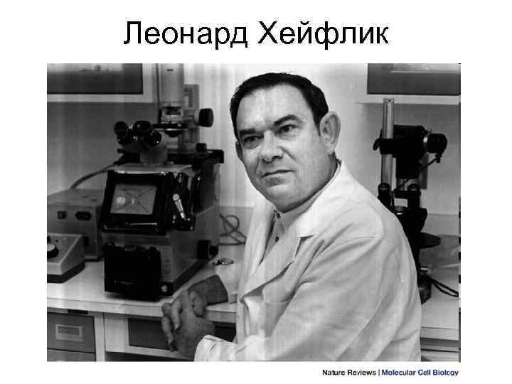 Леонард Хейфлик 