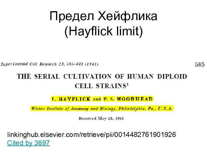 Предел Хейфлика (Hayflick limit) linkinghub. elsevier. com/retrieve/pii/0014482761901926 Cited by 3697 