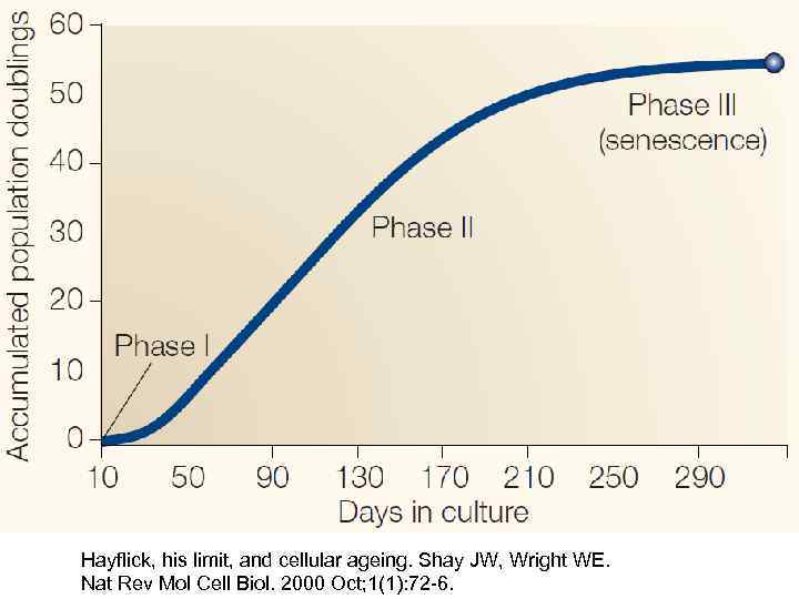Hayflick, his limit, and cellular ageing. Shay JW, Wright WE. Nat Rev Mol Cell