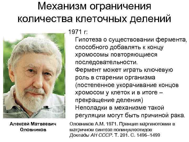 Механизм ограничения количества клеточных делений 1971 г: Гипотеза о существовании фермента, способного добавлять к