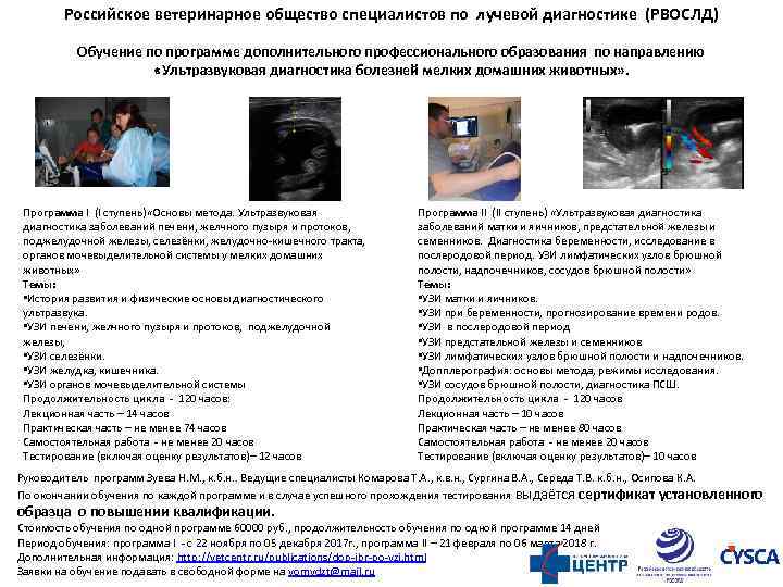 Российское ветеринарное общество специалистов по лучевой диагностике (РВОСЛД) Обучение по программе дополнительного профессионального образования