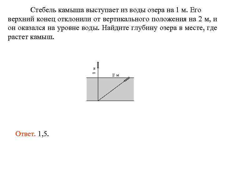 Стебель камыша выступает из воды озера на 1 м. Его верхний конец отклонили от