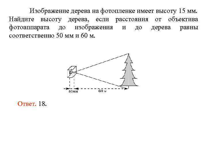 Высота дерева 10 м. Изображение дерева на фотопленке имеет высоту 15 мм. Найти высоту дерева. Найдите высоту дерева если. Высота дерева поиска.