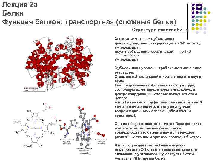 Транспортная функция белка