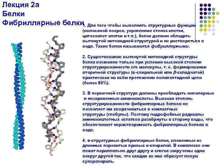 Характеристика белков