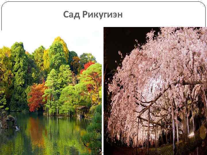 Сад Рикугиэн 