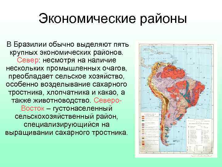 Экономические районы В Бразилии обычно выделяют пять крупных экономических районов. Север: несмотря на наличие