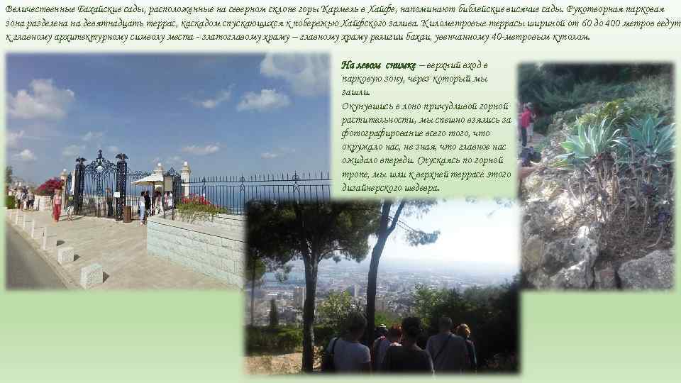 Величественные Бахайские сады, расположенные на северном склоне горы Кармель в Хайфе, напоминают библейские висячие