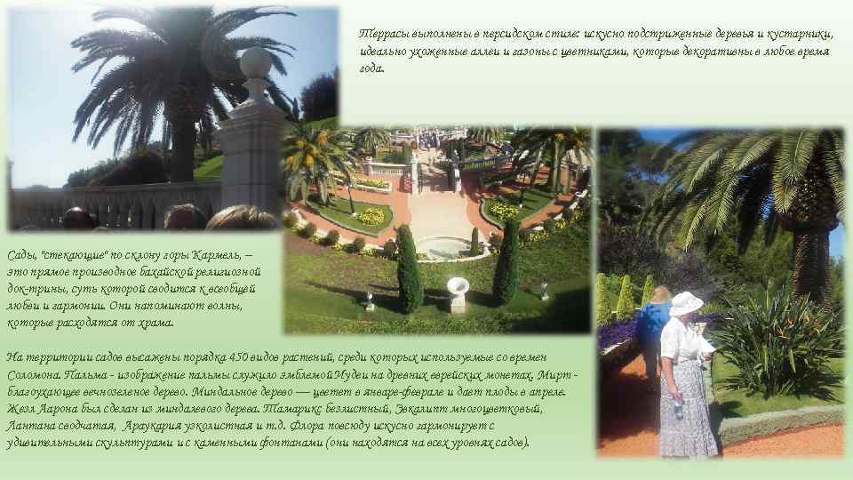 Террасы выполнены в персидском стиле: искусно подстриженные деревья и кустарники, идеально ухоженные аллеи и