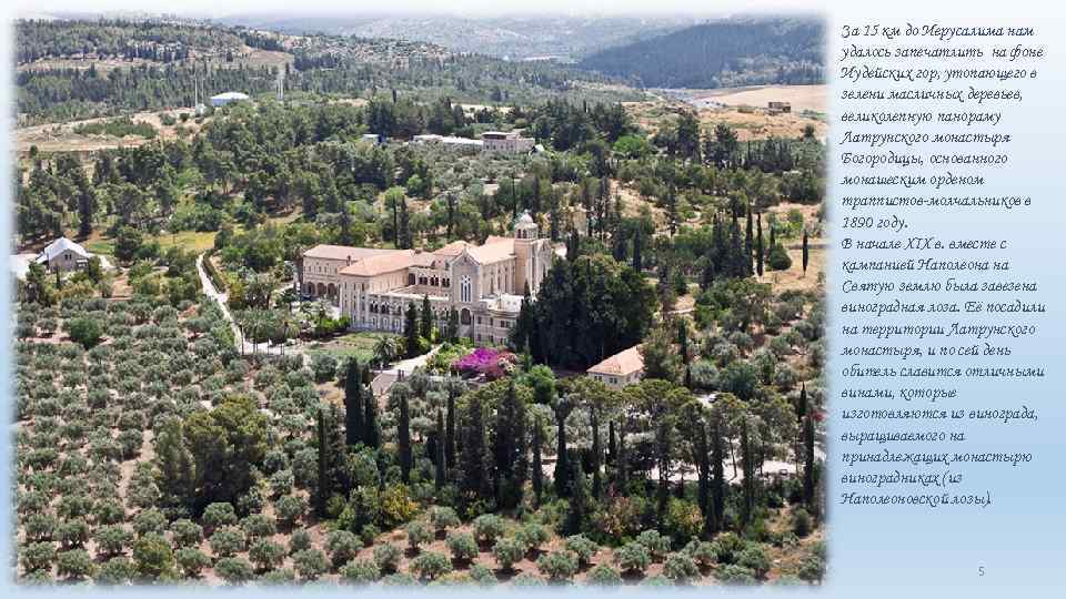 За 15 км до Иерусалима нам удалось запечатлить на фоне Иудейских гор, утопающего в