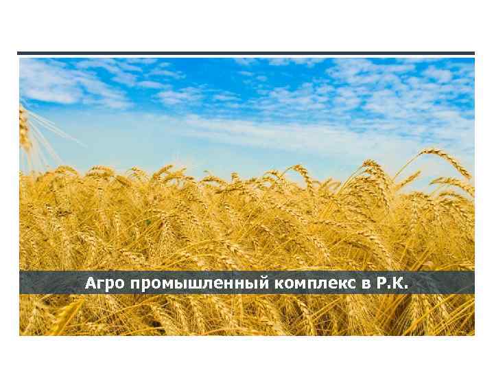 Агро промышленный комплекс в Р. К. 