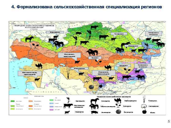 4. Формализована сельскохозяйственная специализация регионов Мясо-сальное Тонкорунное и полутонк-ое Тонкорунное Мясо-сальное , каракулеводство Поливное