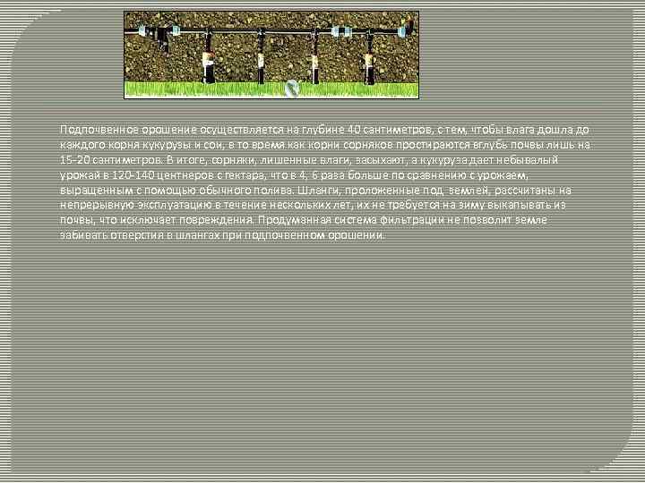 Подпочвенное орошение осуществляется на глубине 40 сантиметров, с тем, чтобы влага дошла до каждого