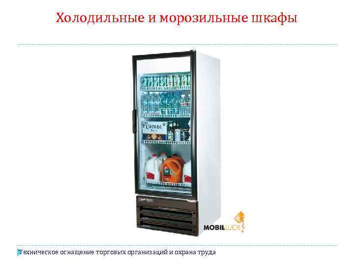 Холодильные и морозильные шкафы Техническое оснащение торговых организаций и охрана труда 