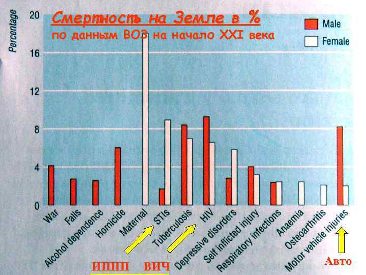 Смертность на Земле в % по данным ВОЗ на начало XXI века ИППП ВИЧ