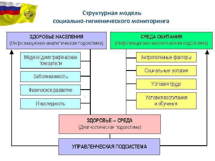 Социально гигиенический мониторинг презентация